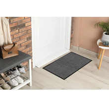 Szene mit Fußmatte vor einer Tür, Schuhregal und Dekorationsgegenständen.