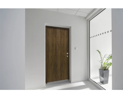 Eingangsbereich mit Holztür und Fensterfront mit Pflanze