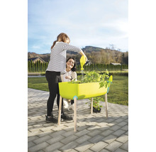 Eine Person gießt Pflanzen in einem Hochbeet mit einer Gießkanne, während eine andere Person zusieht. Gartenarbeit im Freien.