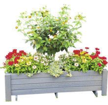 Blumenkasten Pflanzkasten Romantica promadino Holz 78 x 38 x 34 cm grau