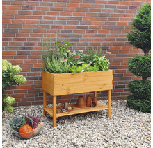 Hochbeet aus Holz mit Kräutern und Gemüse im Garten vor einer Backsteinmauer