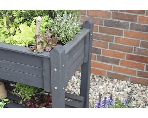 Hochbeet aus Holz mit verschiedenen Salatsorten und Kräutern bepflanzt.