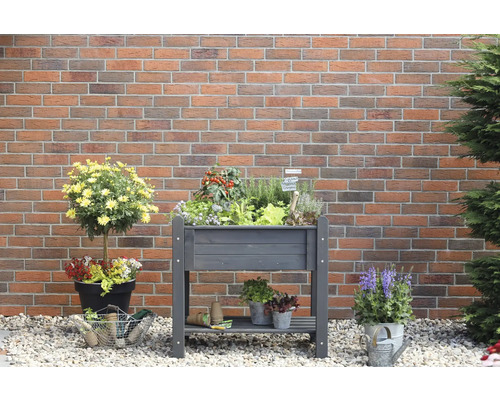 Hochbeet aus Holz mit verschiedenen Pflanzen und Kräutern in einem Garten