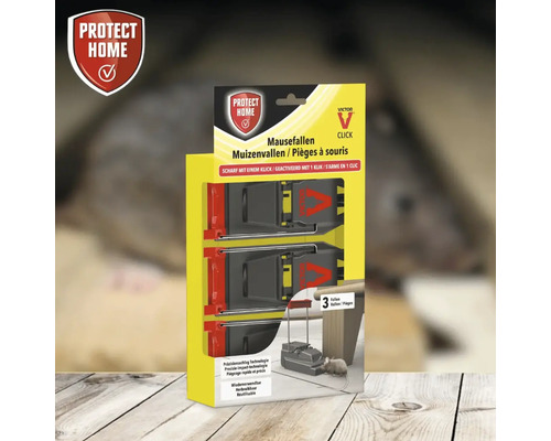 Packung mit drei Mausefallen