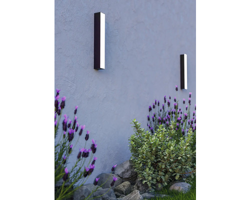 Zwei Wandleuchten beleuchten eine Wand im Außenbereich, umgeben von Pflanzen.