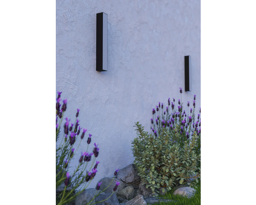 Zwei rechteckige Außenwandleuchten an einer Fassade neben Pflanzen