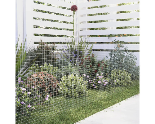 Gartenszene mit Drahtzaun, Pflanzen und Rasenfläche