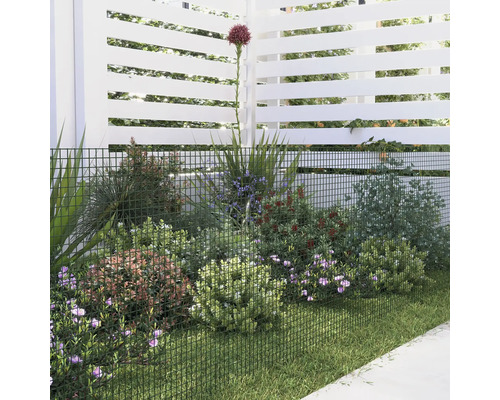 Gartenszene mit Zaun, Bepflanzung und Rasen