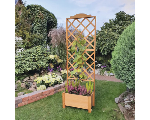 Holzpflanzkasten mit Rankgitter im Garten