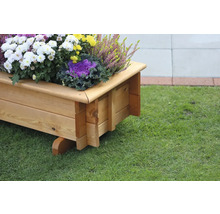 Holzpflanzkasten mit Blumen und Pflanzen