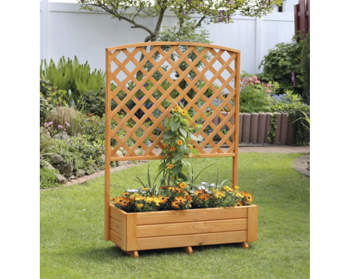 Rankkasten mit Pergola aus Holz 41 x 91 x 130 cm Holz braun