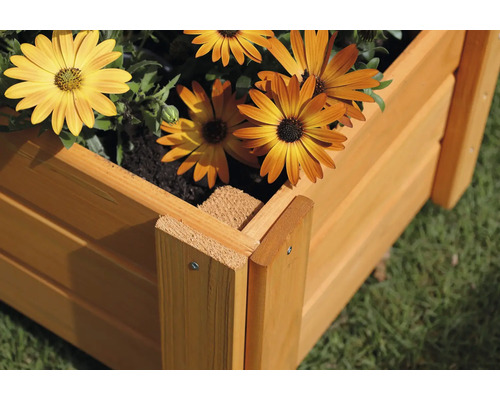 Holz-Hochbeet mit gelben Blüten im Garten