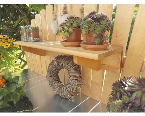 Gartenszene mit Pflanztisch aus Holz, Sukkulenten in Töpfen und Dekorationen