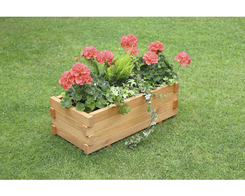 Holzblumenkasten mit Geranien auf einer Rasenfläche