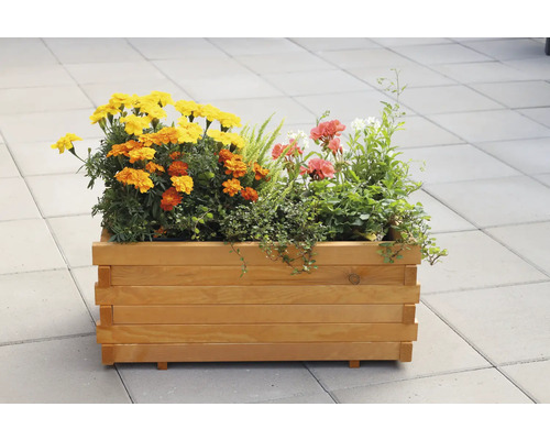 Holzblumenkasten mit gelben und orangefarbenen Ringelblumen