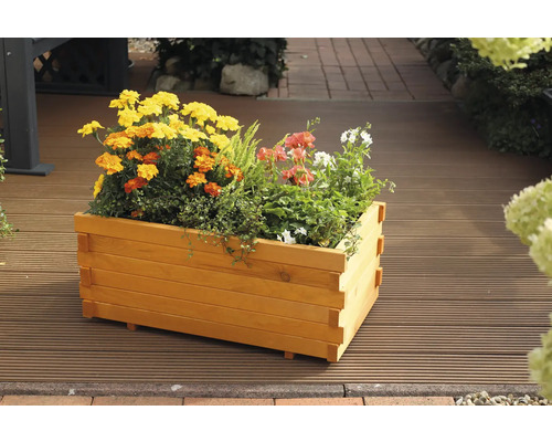 Holzblumenkasten bepflanzt mit verschiedenen Blumen