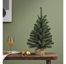 Kleiner ungeschmückter Weihnachtsbaum auf einem Tisch