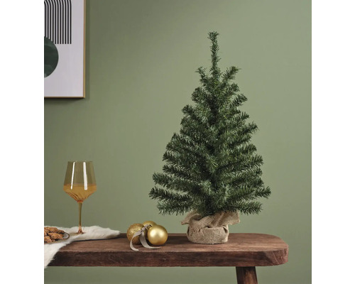 Kleiner ungeschmückter Weihnachtsbaum auf einem Tisch