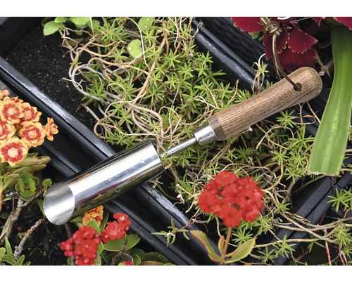 Pflanzlochbohrer aus Metall mit Holzgriff zwischen Pflanzen