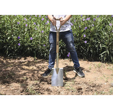 Eine Person steht mit einem Spaten mit Holzgriff und Stahlblatt auf einem Feld mit Pflanzen.