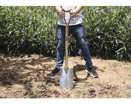 Eine Person steht mit einem Spaten mit Holzgriff und Stahlblatt auf einem Feld mit Pflanzen.