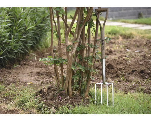 Gartengabel aus Stahl mit Holzgriff steht im Garten neben einem Strauch.