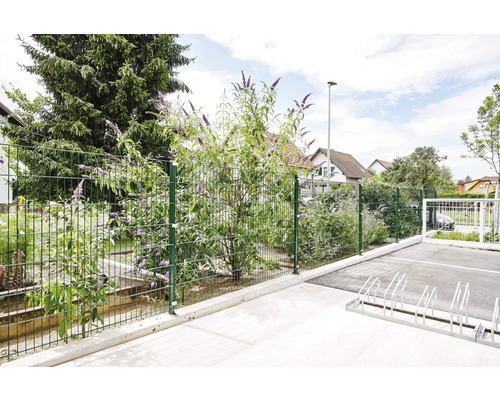 Doppelstabmattenzaun umrandet einen Gartenbereich