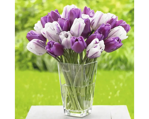 Tulpenstrauß in Glasvase