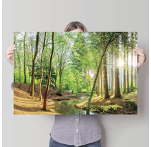 Frau hält ein Poster mit einem Waldstück und einem Bachlauf.