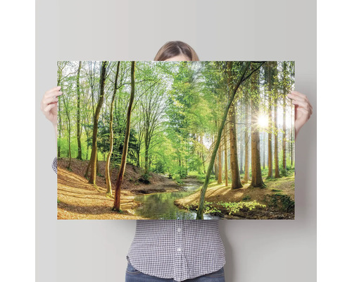 Frau hält ein Poster mit einem Waldstück und einem Bachlauf.