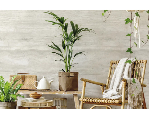 Dekoratives Interieur mit Zimmerpflanzen, Korbwaren und Rattansessel für eine gemütliche Atmosphäre.