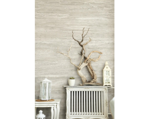 Dekorative Szene mit Treibholz, Windlichtern und Sukkulente auf einem Heizkörperregal.