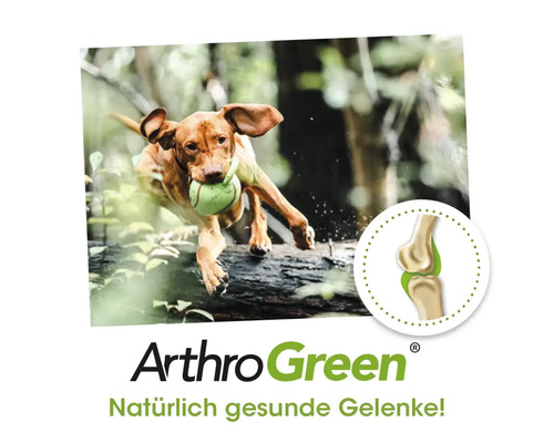 ArthroGreen Produktbild mit springendem Hund und Darstellung eines Gelenks