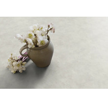Helleborus Pflanzen in einem Krug