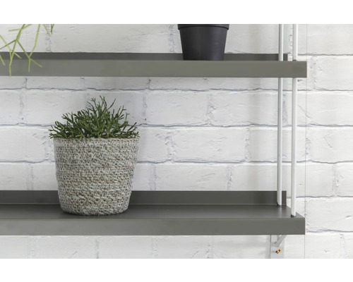 Regal mit Topfpflanzen vor einer Ziegelwand