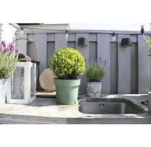 Außenbereich mit Pflanzgefäßen, Außenleuchten und Spülbecken