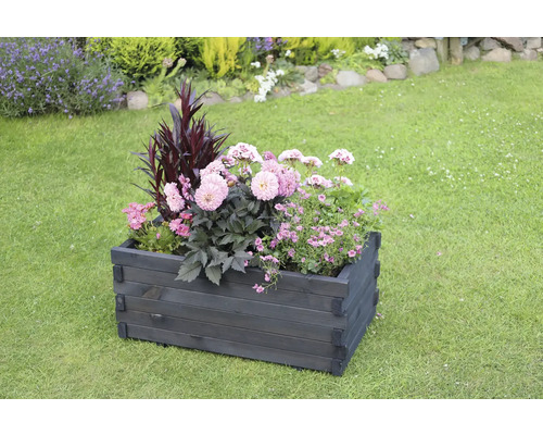 Blumenkasten aus Holz mit verschiedenen Pflanzen im Garten