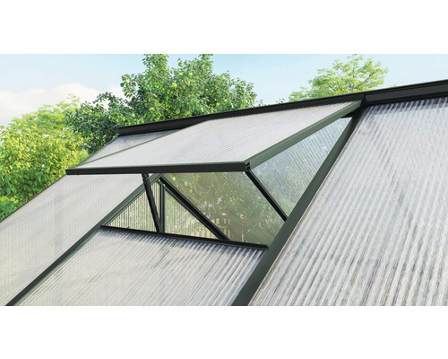 Nahaufnahme des Dachfensters eines Gewächshauses mit Polycarbonatplatten