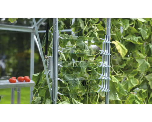 Detailaufnahme eines Gewächshauses mit Lamellenfenster zur Belüftung und Pflanzen