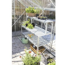 Gewächshaus mit dreistufigem Regal, Pflanzen und Gartenzubehör.