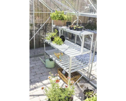 Gewächshaus mit dreistufigem Regal, Pflanzen und Gartenzubehör.
