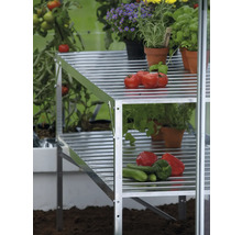 Zweistufiges Gewächshausregal aus Aluminium mit Gemüse und Kräutern