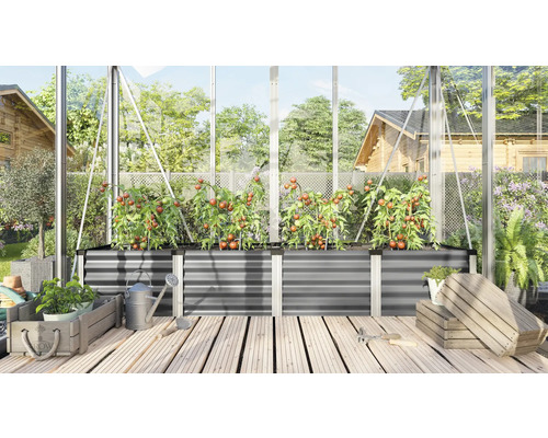 Gewächshausinneneinrichtung mit Hochbeeten und Tomatenpflanzen
