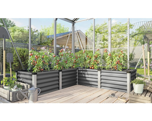 Gewächshaus mit Hochbeeten aus Metall, bepflanzt mit Tomatenpflanzen, Gartengeräten und Holzboden