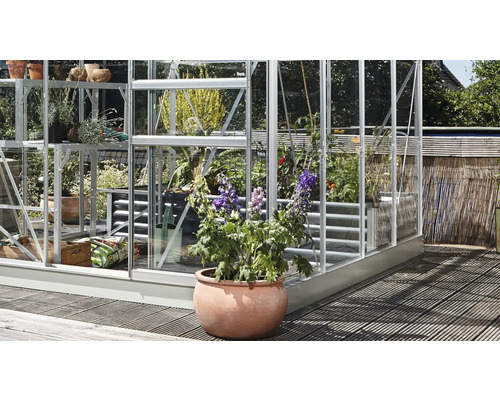 Gewächshaus mit Pflanzen auf Regalen und einem Blumentopf im Vordergrund