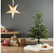 Dekoratives Wohnambiente mit Weihnachtsbaum, Sternleuchte und Geschenken