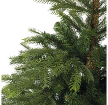 Detailaufnahme eines künstlichen Weihnachtsbaums mit grünen Nadeln