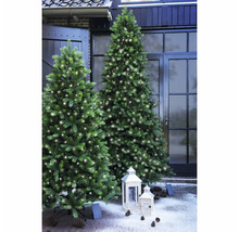 Zwei beleuchtete künstliche Weihnachtsbäume im Außenbereich mit Laternen und Tannenzapfen