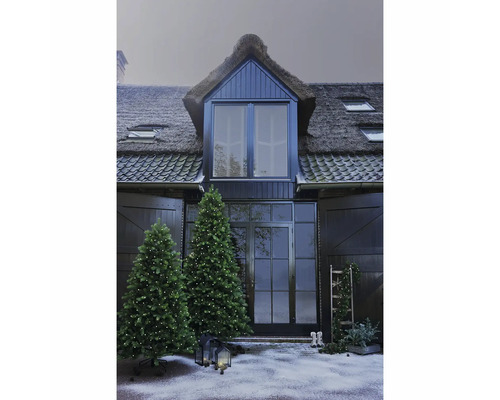 Weihnachtsdekoration vor einem Haus mit Reetdach und beleuchteten Weihnachtsbäumen.