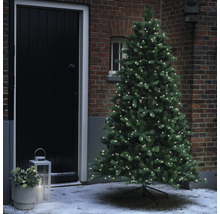 Dekorierter Weihnachtsbaum mit Lichtern vor einem Haus mit einer Laterne und Dekoration